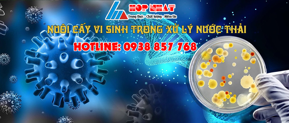 Vi sinh trong xử lý nước thải