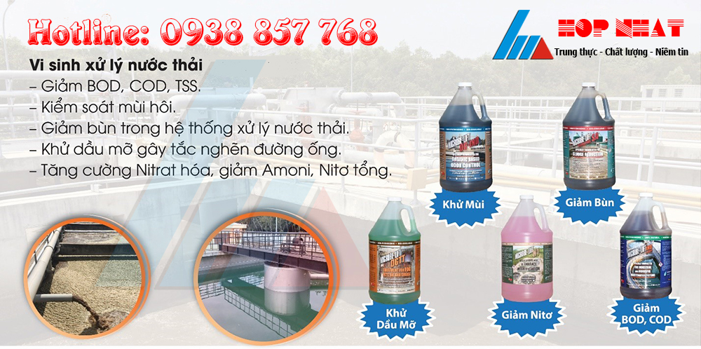 Xử lý nước thải bằng vi sinh
