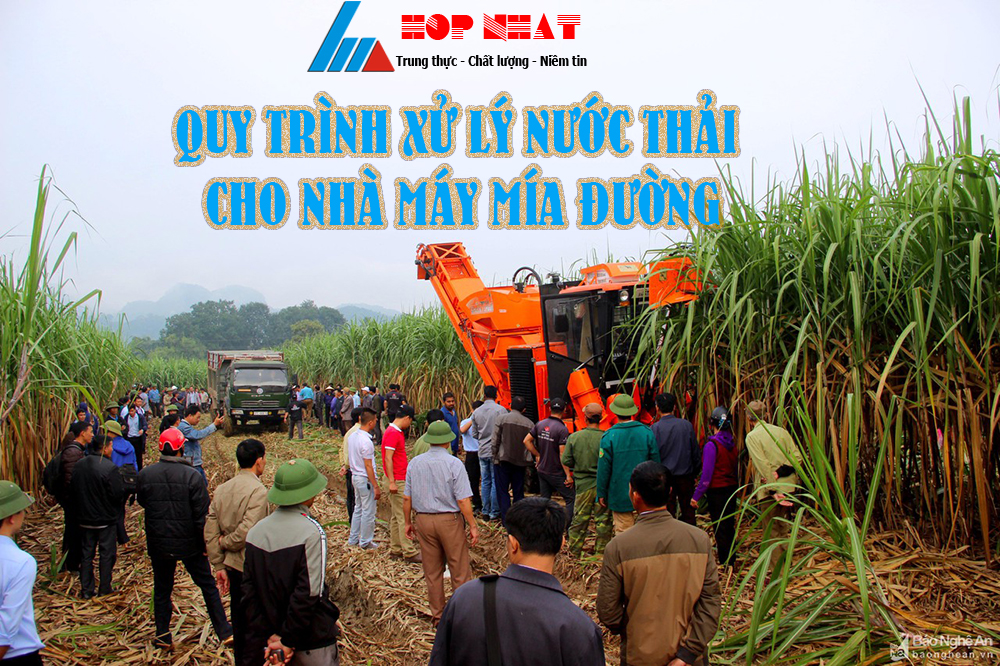 Quy trình xử lý nước thải