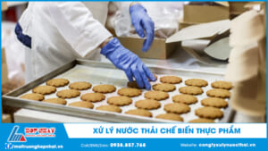 Xử lý nước thải chế biến thực phẩm