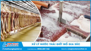 xử lý nước thải giết mổ gia súc
