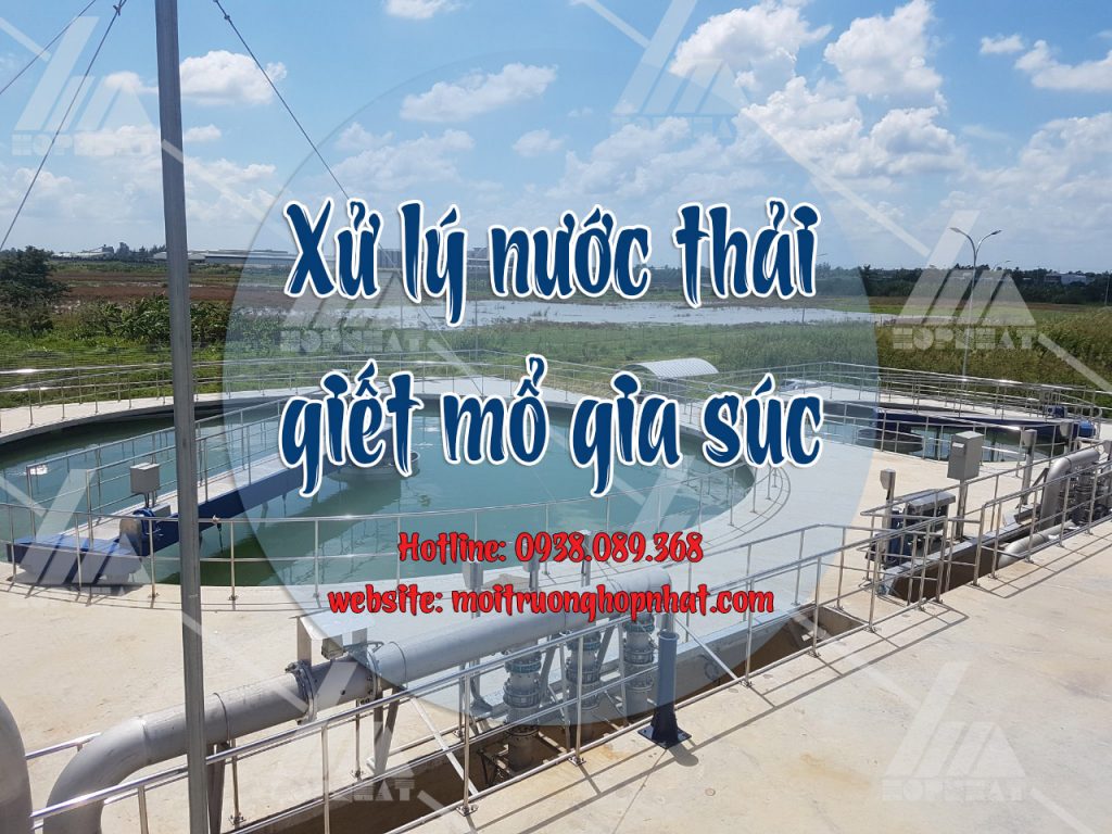 Xử lý nước thải giết mổ gia súc