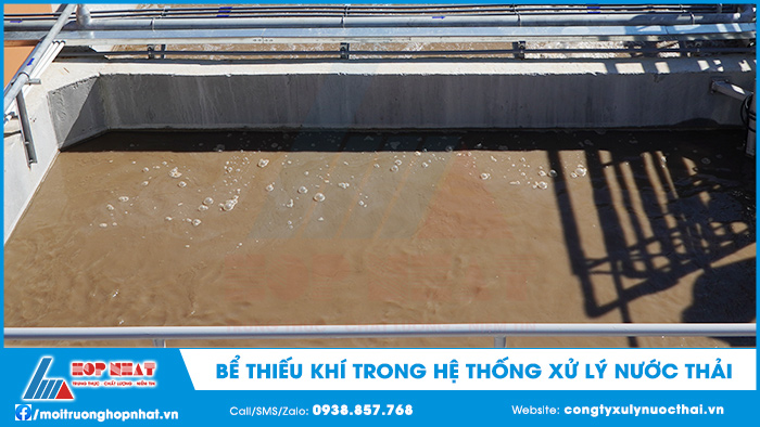Bể thiếu khí trong hệ thống xử lý nước thải