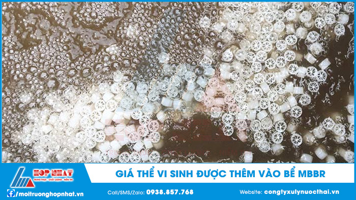 Giá thể vi sinh trong bể MBBR