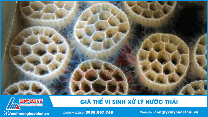 Giá thể vi sinh xử lý nước thải