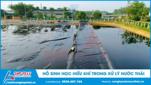 Hồ sinh học hiếu khí