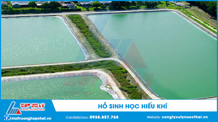 Hồ sinh học hiếu khí