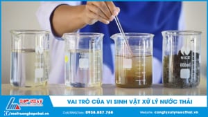 Vai trò của vi sinh vật xử lý nước thải