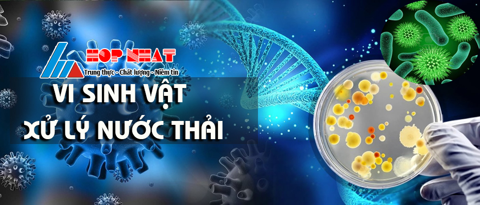 Xử lý nước thải bằng vi sinh vật