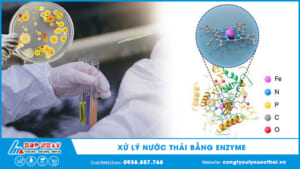 xử lý nước thải bằng enzyme