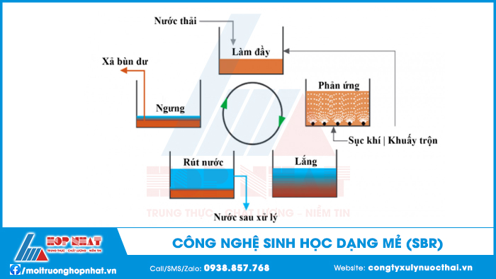 công nghệ sinh học dạng mẻ sbr