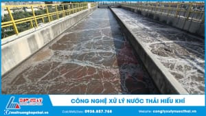 Công nghệ xử lý nước thải hiếu khí
