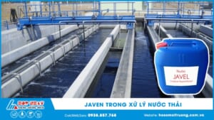Javen trong xử lý nước thải