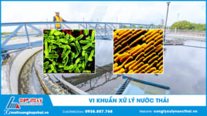 Vi khuẩn xử lý nước thải