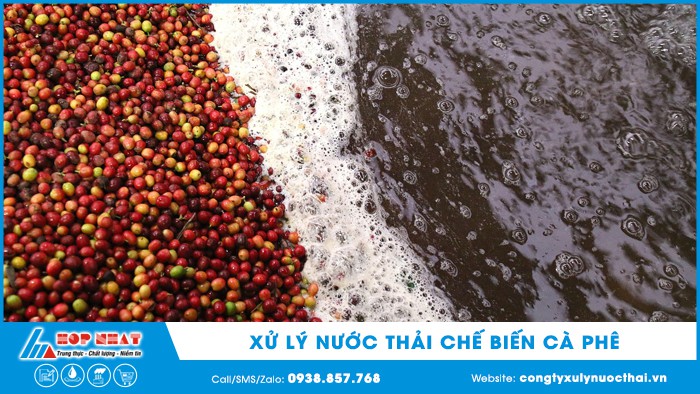 Xử lý nước thải chế biến cà phê