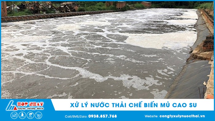 Xử lý nước thải chế biến mủ cao su