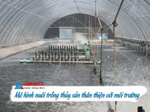 Mô hình nuôi trồng thủy sản thân thiện với môi trường