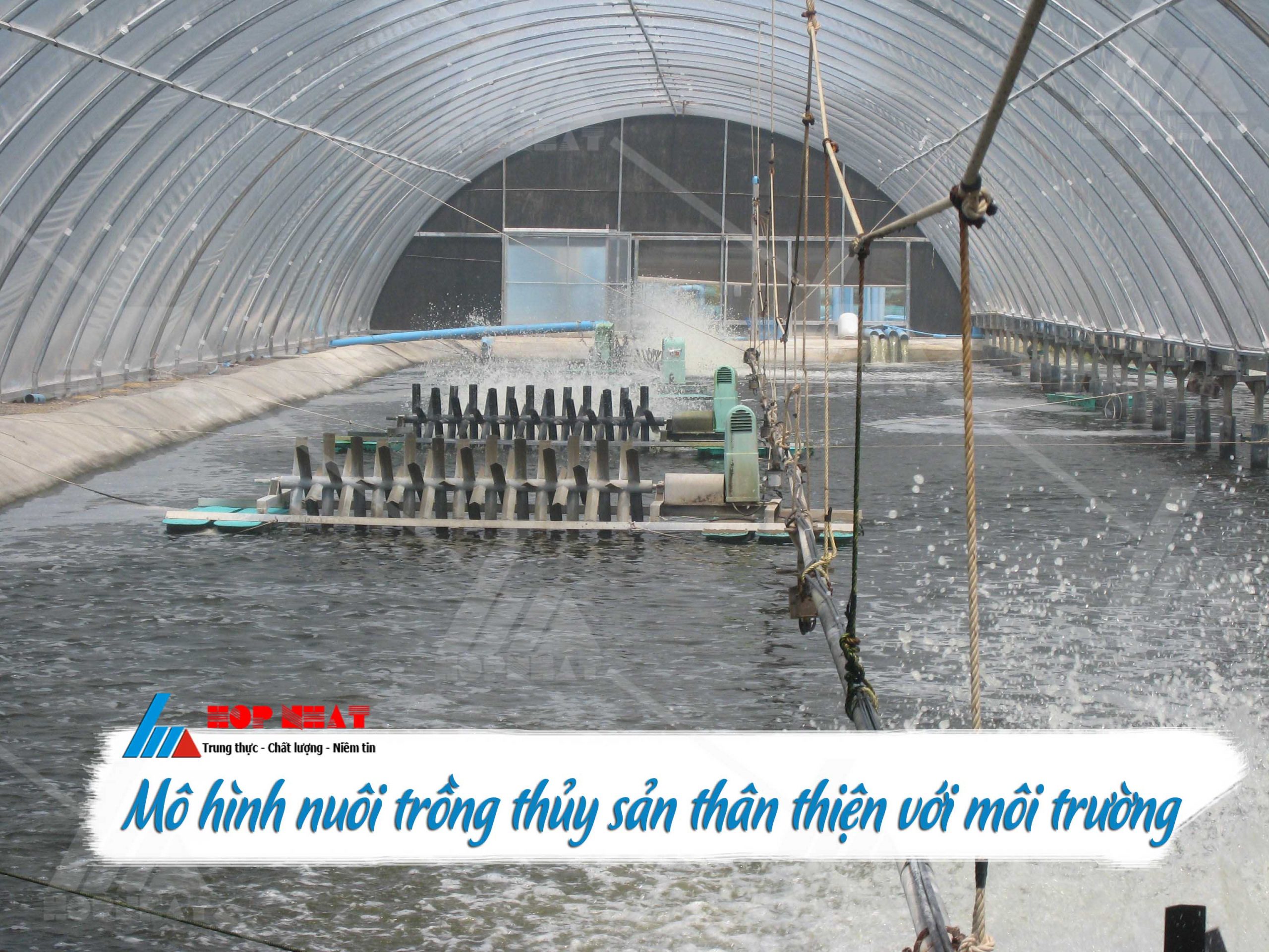 Mô hình nuôi trồng thủy sản thân thiện với môi trường