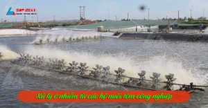 Xử lý ô nhiễm từ các hộ nuôi tôm công nghiệp