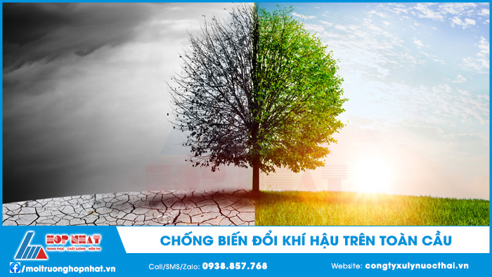chống biến đổi khí hậu trên toàn cầu