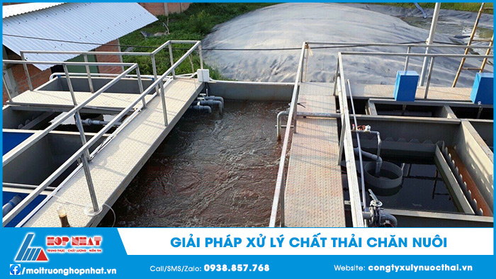 Giải pháp xử lý chất thải chăn nuôi