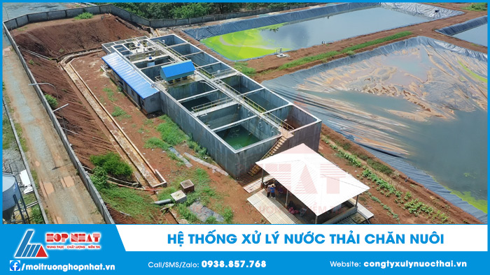 Hệ thống xử lý nước thải chăn nuôi