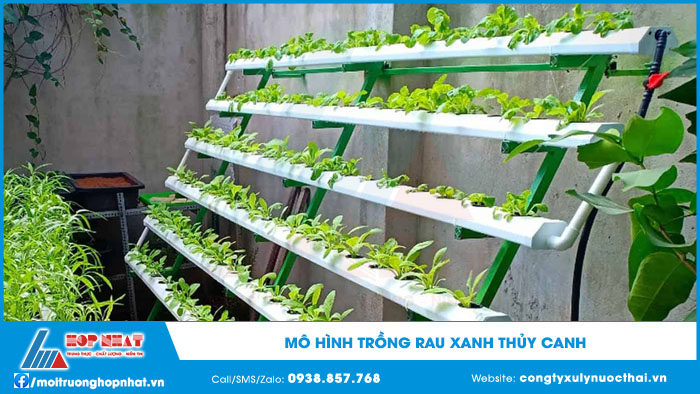 Mô hình trồng rau thủy canh
