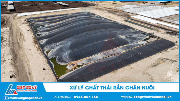 Xử lý chất thải rắn chăn nuôi