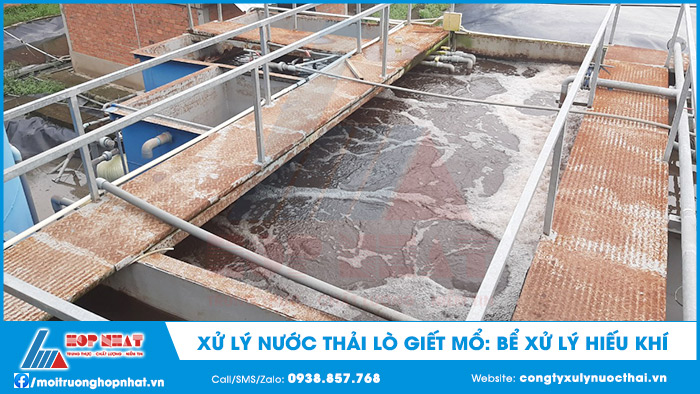 Bể xử lý hiếu khí