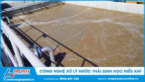 Công nghệ xử lý nước thải sinh học hiếu khí