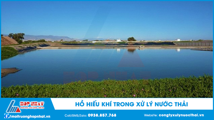 Hồ hiếu khí trong xử lý nước thải