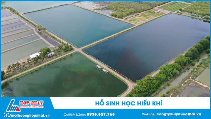 Hồ sinh học hiếu khí