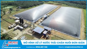 Mô hình xử lý nước thải chăn nuôi