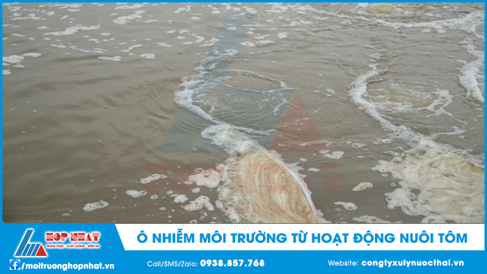 Ô nhiễm môi trường từ hoạt động nuôi tôm
