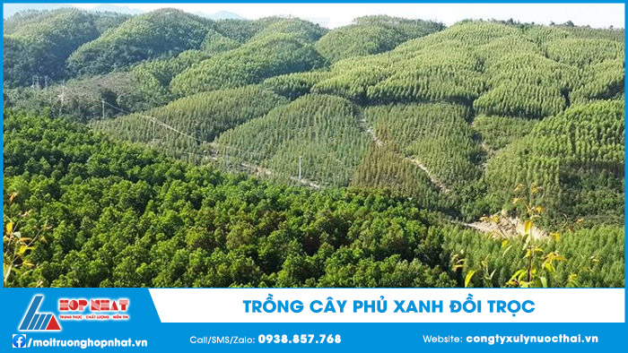 Trồng cây phủ xanh đồi trọc
