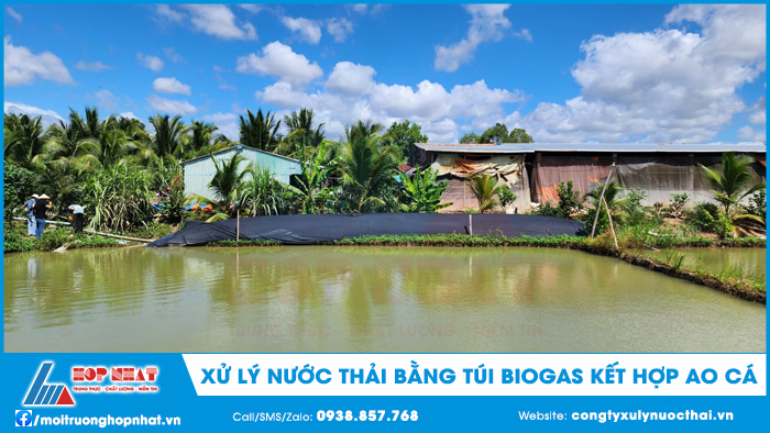 Túi biogas kết hợp ao cá