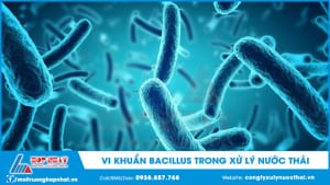 Vi khuẩn bacillus trong xử lý nước thải