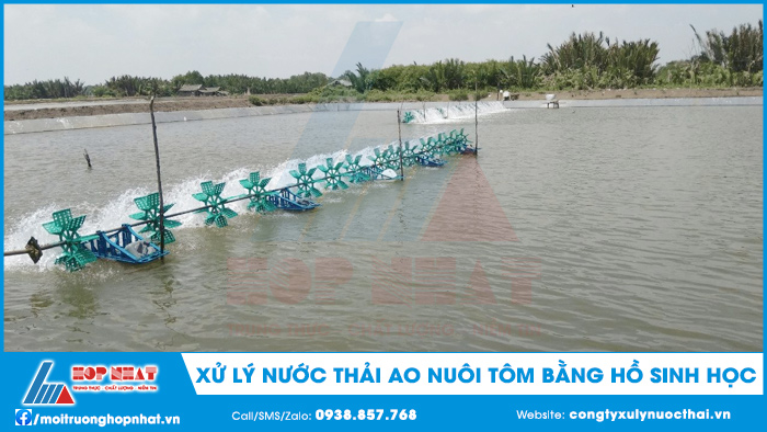 Xử lý nước thải ao nuôi tôm bằng hồ sinh học