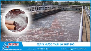 Xử lý nước thải lò giết mổ
