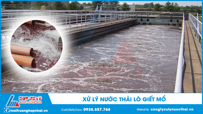Xử lý nước thải lò giết mổ