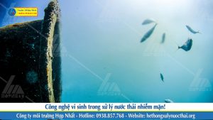 Công nghệ vi sinh trong xử lý nước thải nhiễm mặn