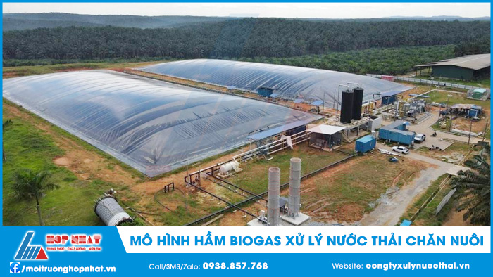 Mô hình hầm biogas