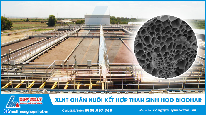 Xử lý nước thải chăn nuôi kết hợp Biochar