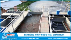 Xử lý nước thải chăn nuôi