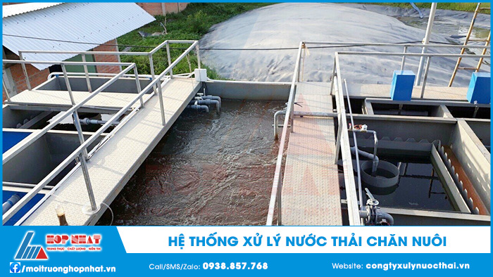 Xử lý nước thải chăn nuôi