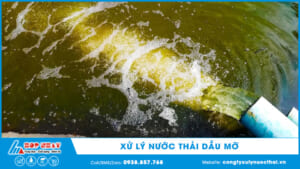 Xử lý nước thải dầu mỡ
