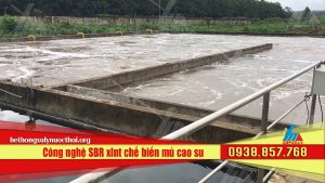 Công nghệ SBR xlnt chế biến mủ cao su