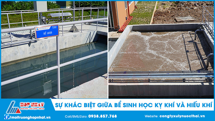 Sự khác biệt giữa bể sinh học kỵ khí và hiếu khí