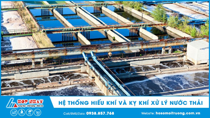 hệ thống hiếu khí và kỵ khí trong xử lý nước thải