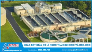 Sự khác biệt giữa xử lý nước thải sinh học và hóa học